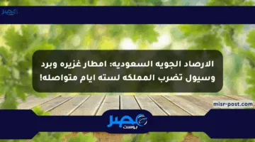 الأرصاد الجوية السعودية: أمطار غزيرة وبرد وسيول تضرب المملكة لستة أيام متواصلة!